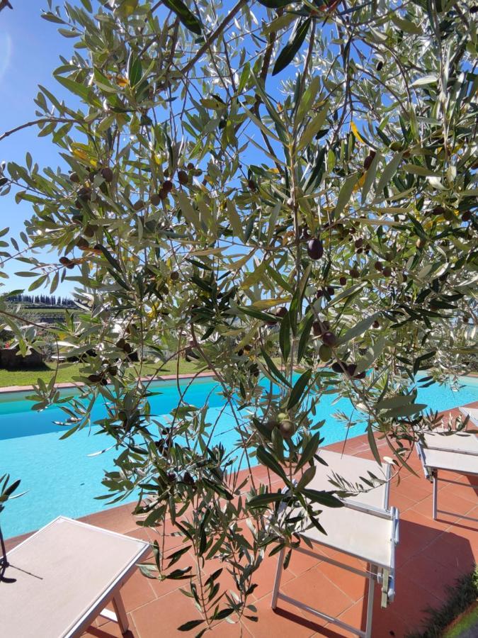 Agriturismo Sommassa Greve in Chianti Zewnętrze zdjęcie